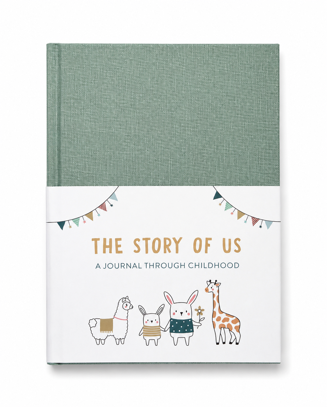 From Birth To 18 Journal: The Story of Us